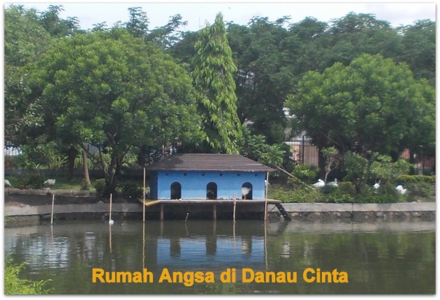 Danau Cinta Universitas Airlangga (UNAIR) Surabaya  Dream